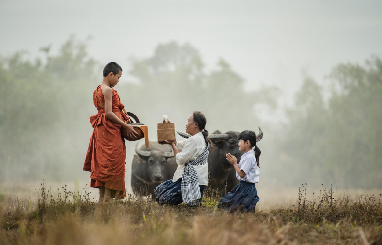 grandmother grandson offer food novices