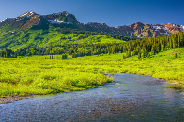 shallow stream midst alpine trees rolling hills mountain