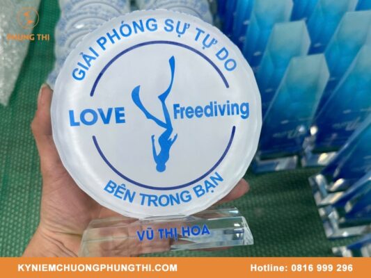 Đĩa kỷ niệm chương