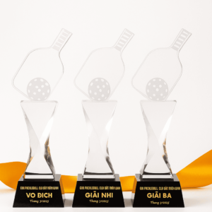 Cup-pha-le-pickleball-09