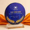 Kỷ niệm chương Vin2025