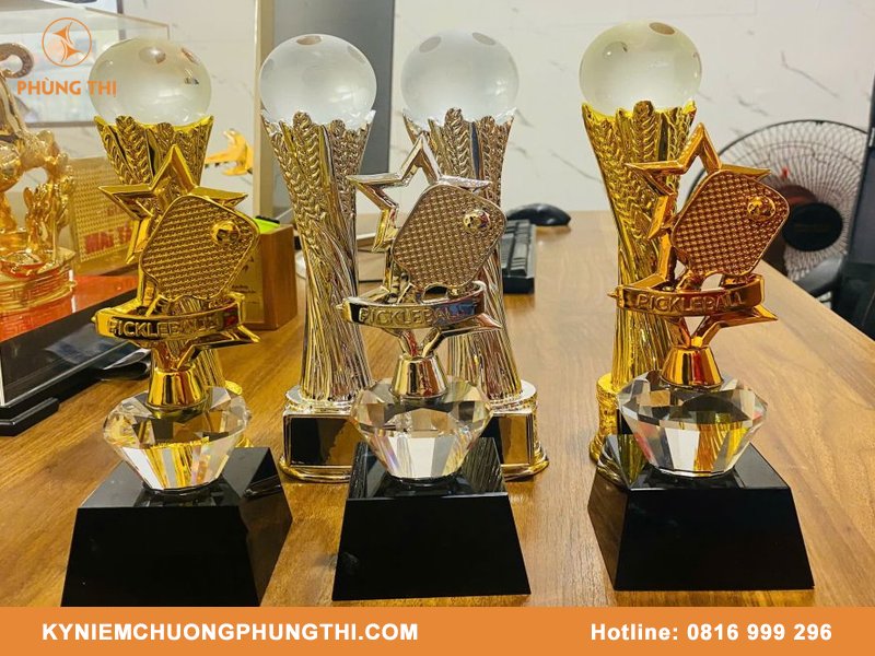 Mua cúp Pickleball ở đâu?
