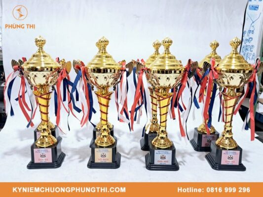 Hình ảnh mẫu cúp Pickleball