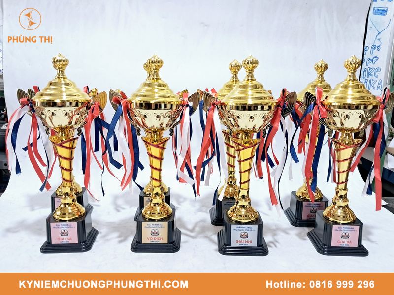 Hình ảnh mẫu cúp Pickleball