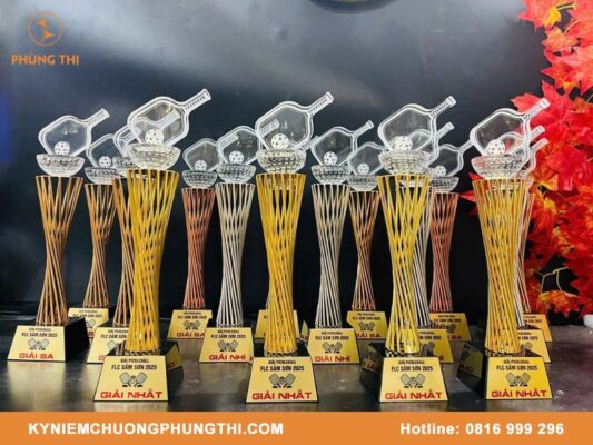 Số lượng cúp trong giải Pickleball